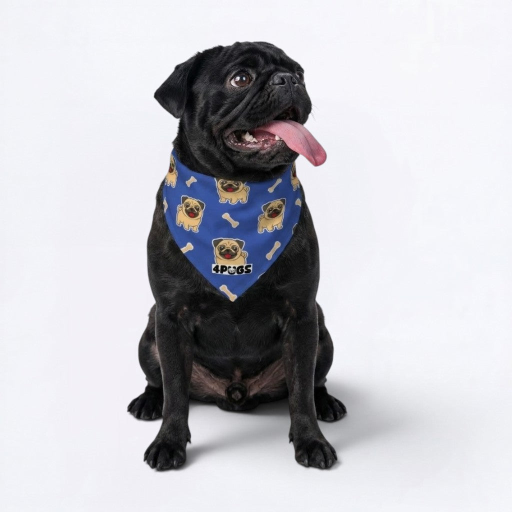 Rocco - Pug Bandan