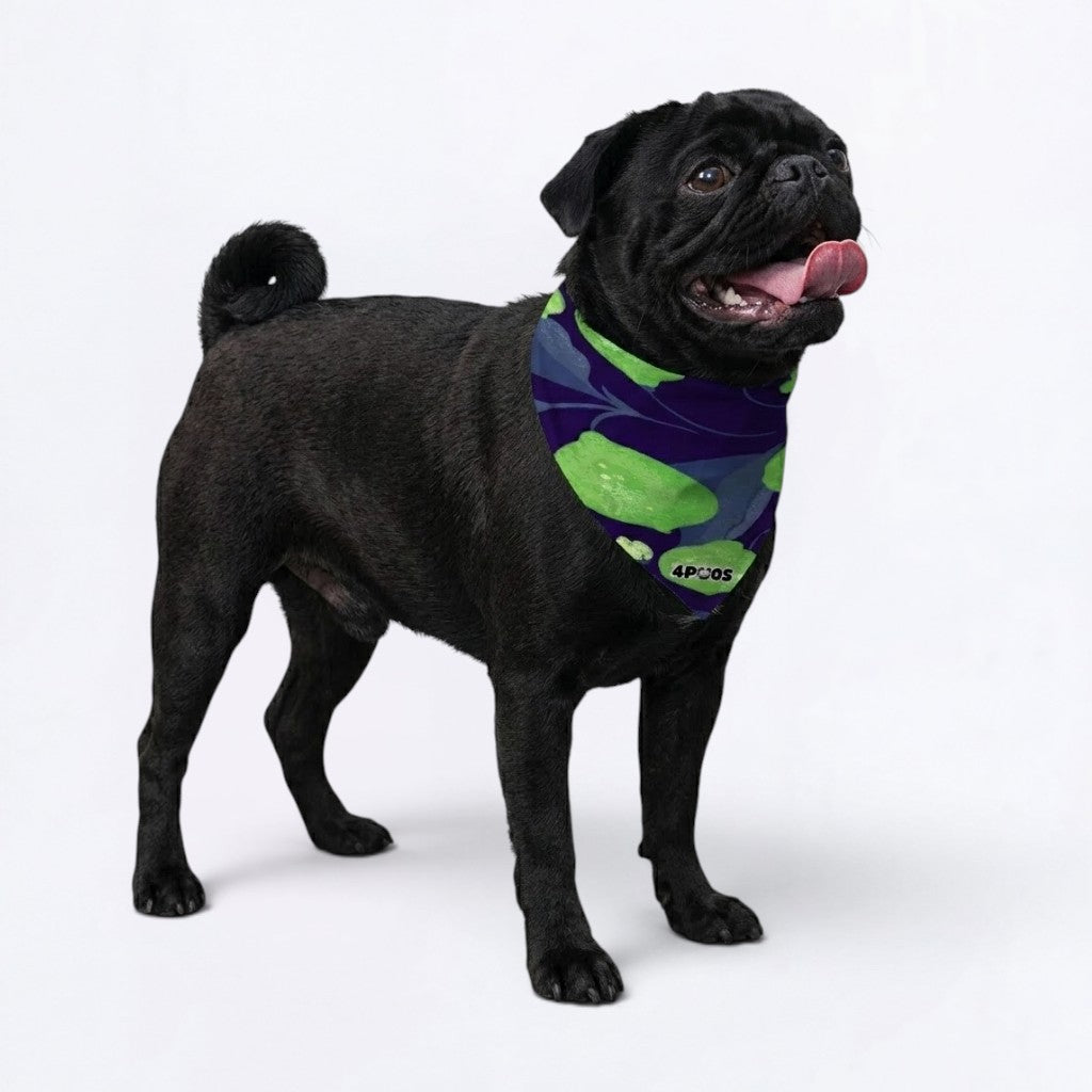 Sugar - Pug Bandana