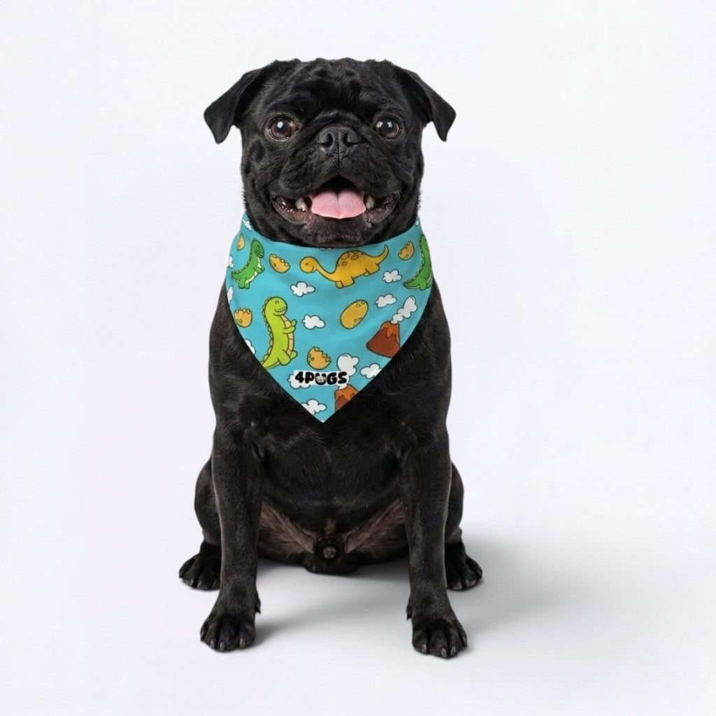 Chloe - PugnBandana