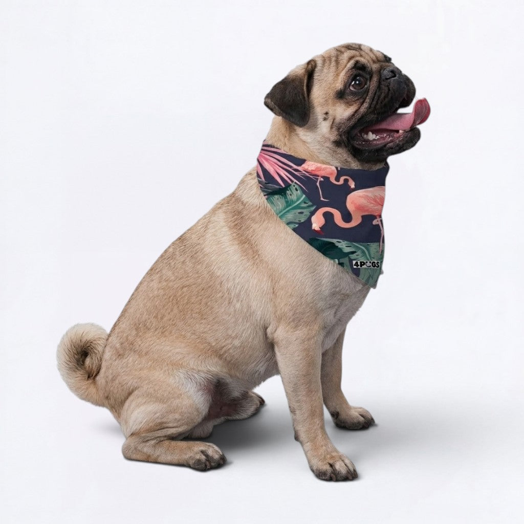 Archie - Pug Bandana