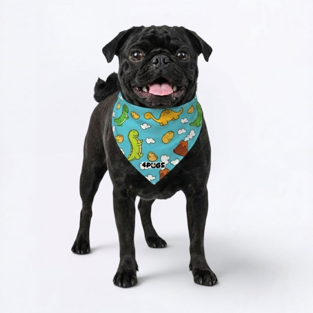Chloe - PugnBandana