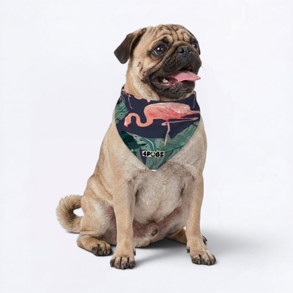 Archie - Pug Bandana