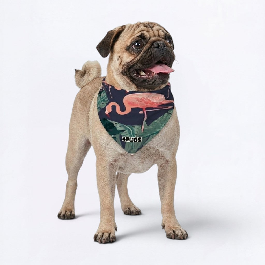 Archie - Pug Bandana