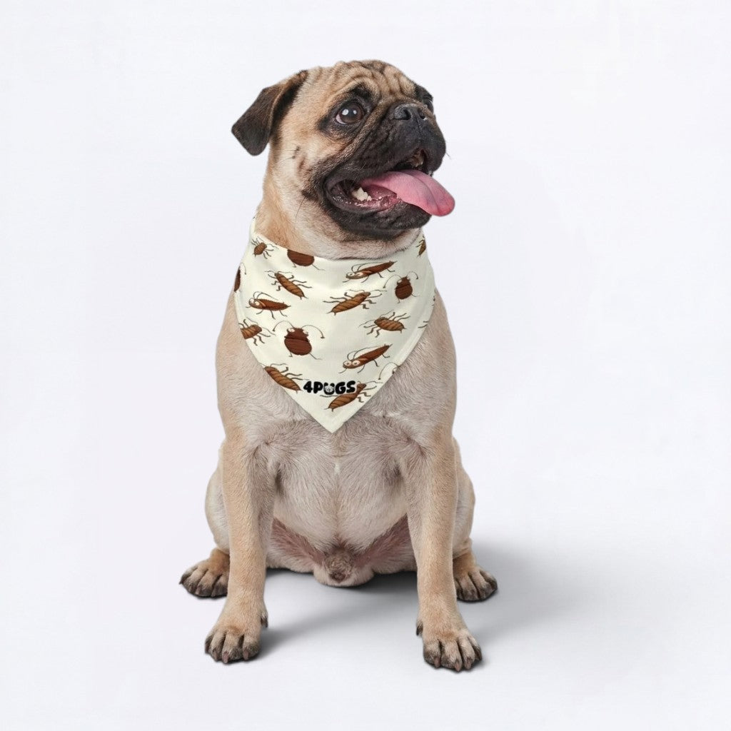 Dash - Pug Bandana