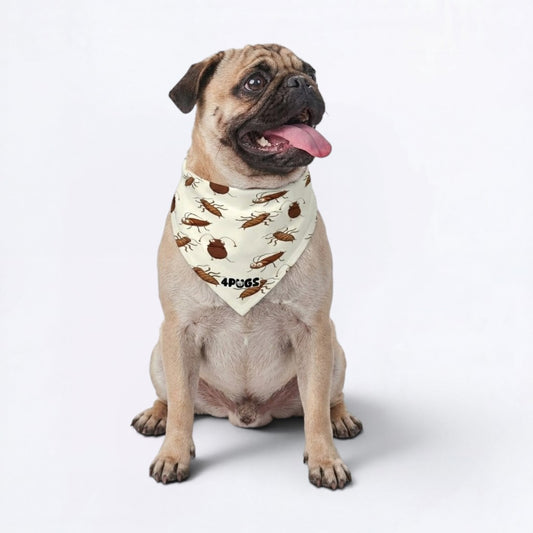 Dash - Pug Bandana