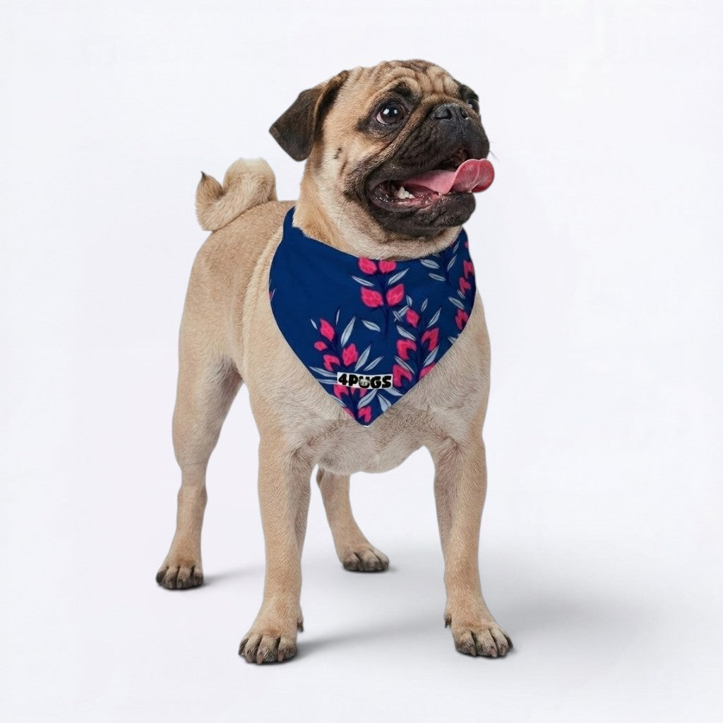 Toby - Pug Bandana