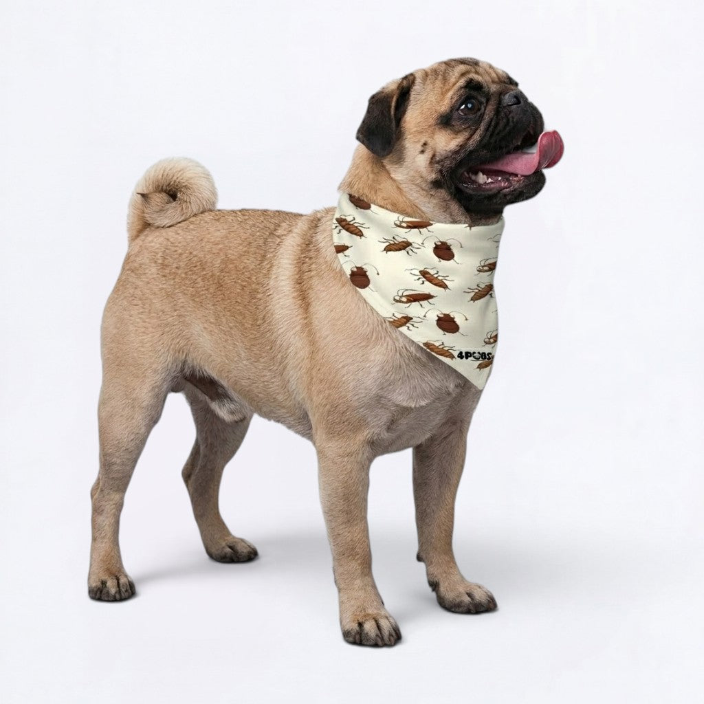 Dash - Pug Bandana