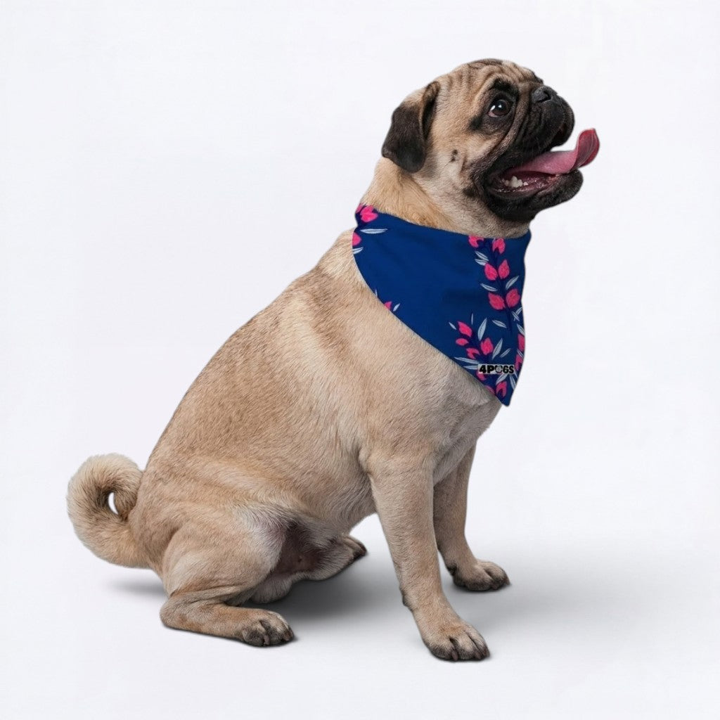 Toby - Pug Bandana