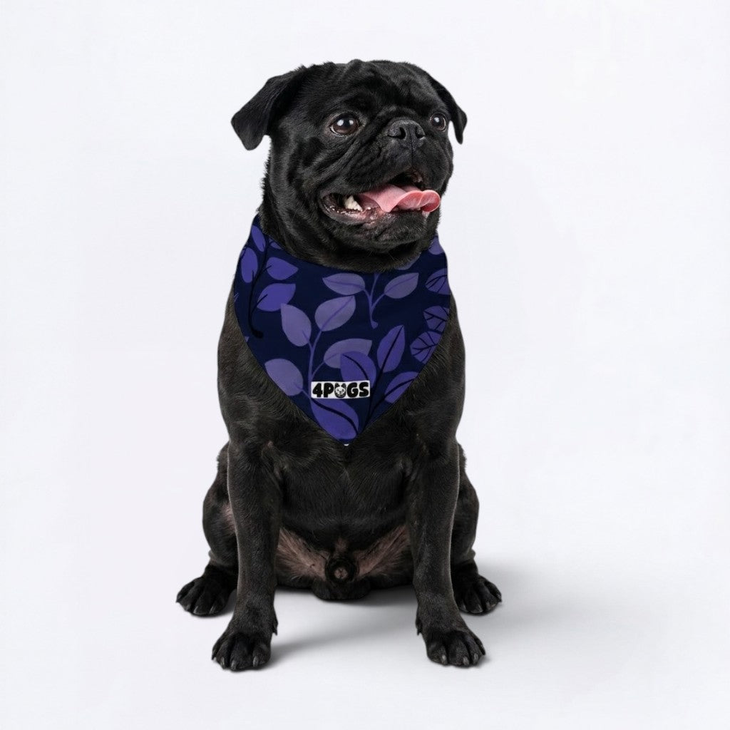 Vinnie - Pug Bandana