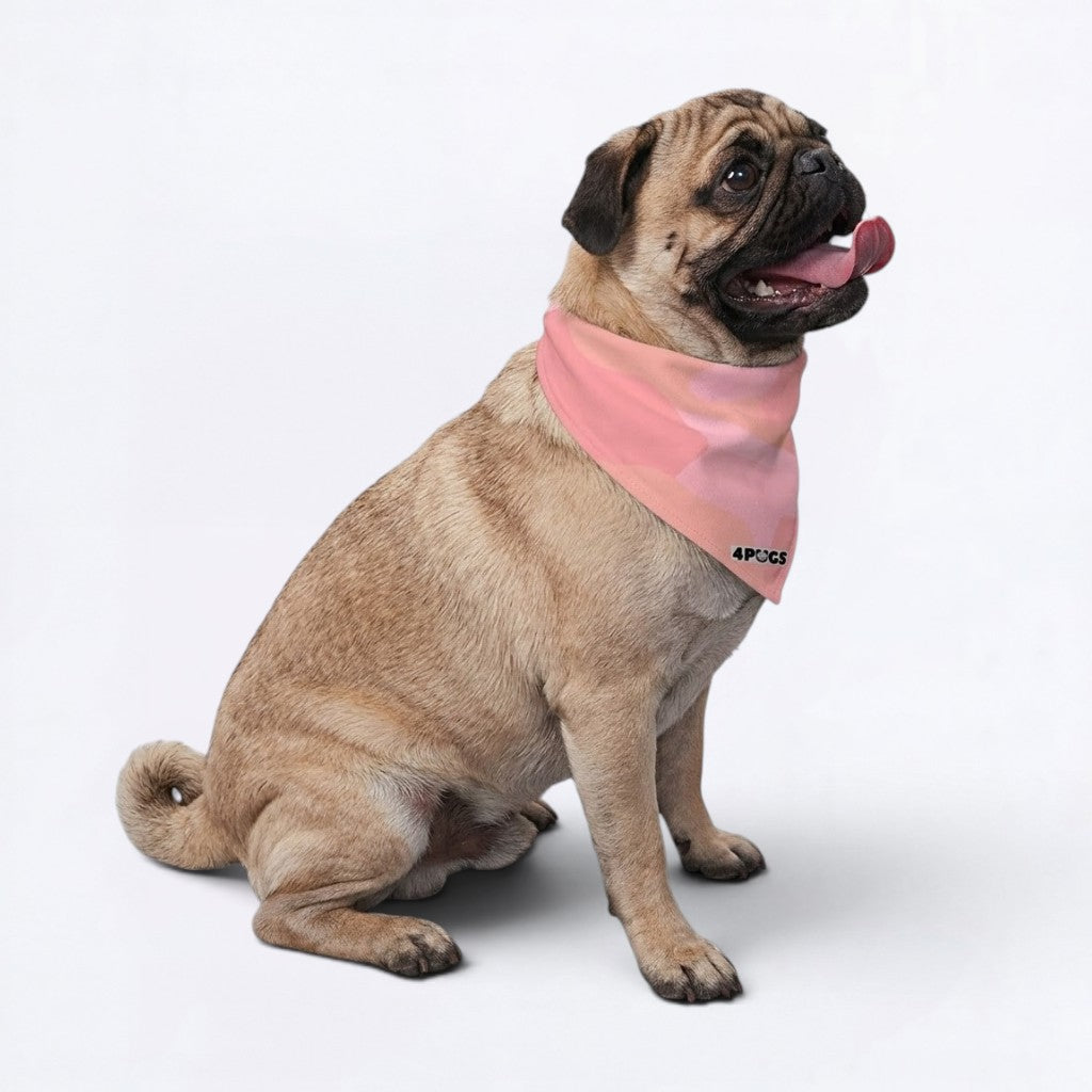Sunnt - Pug Bandana