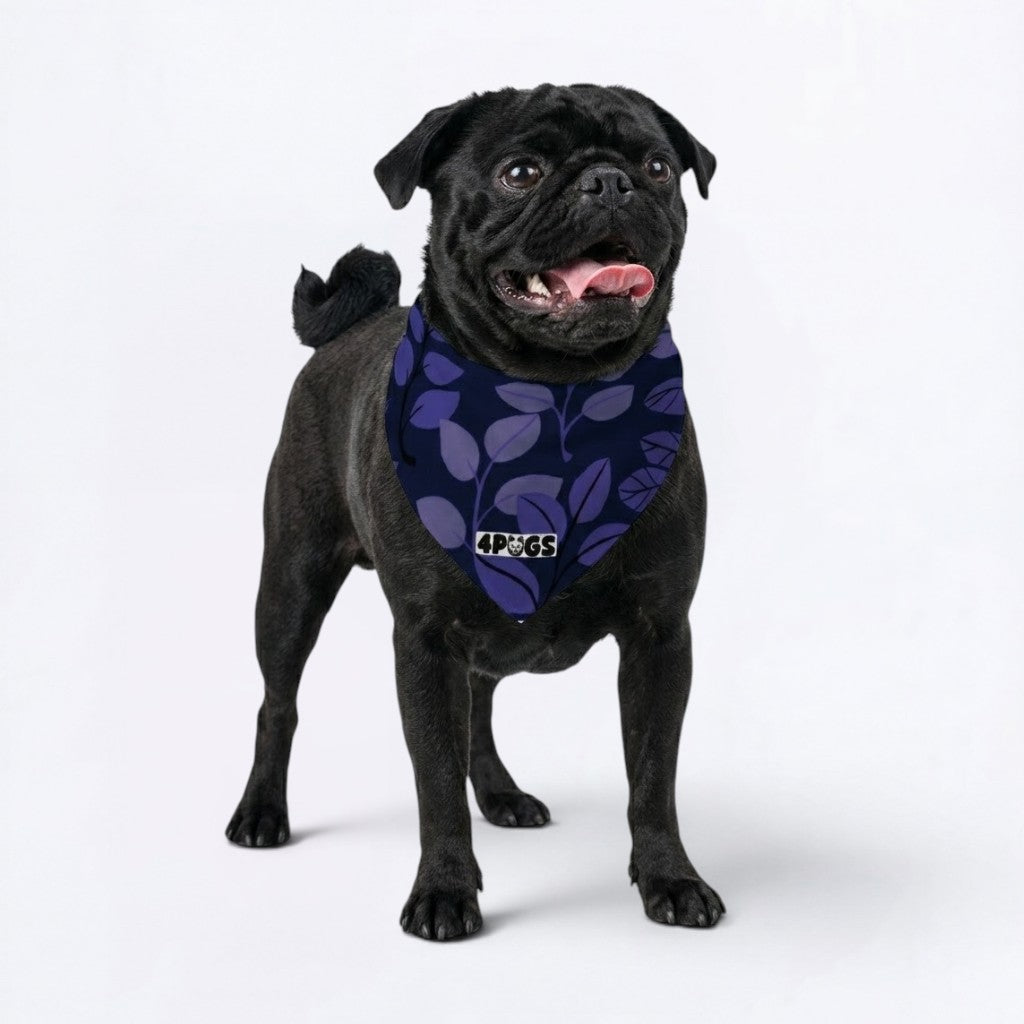 Vinnie - Pug Bandana