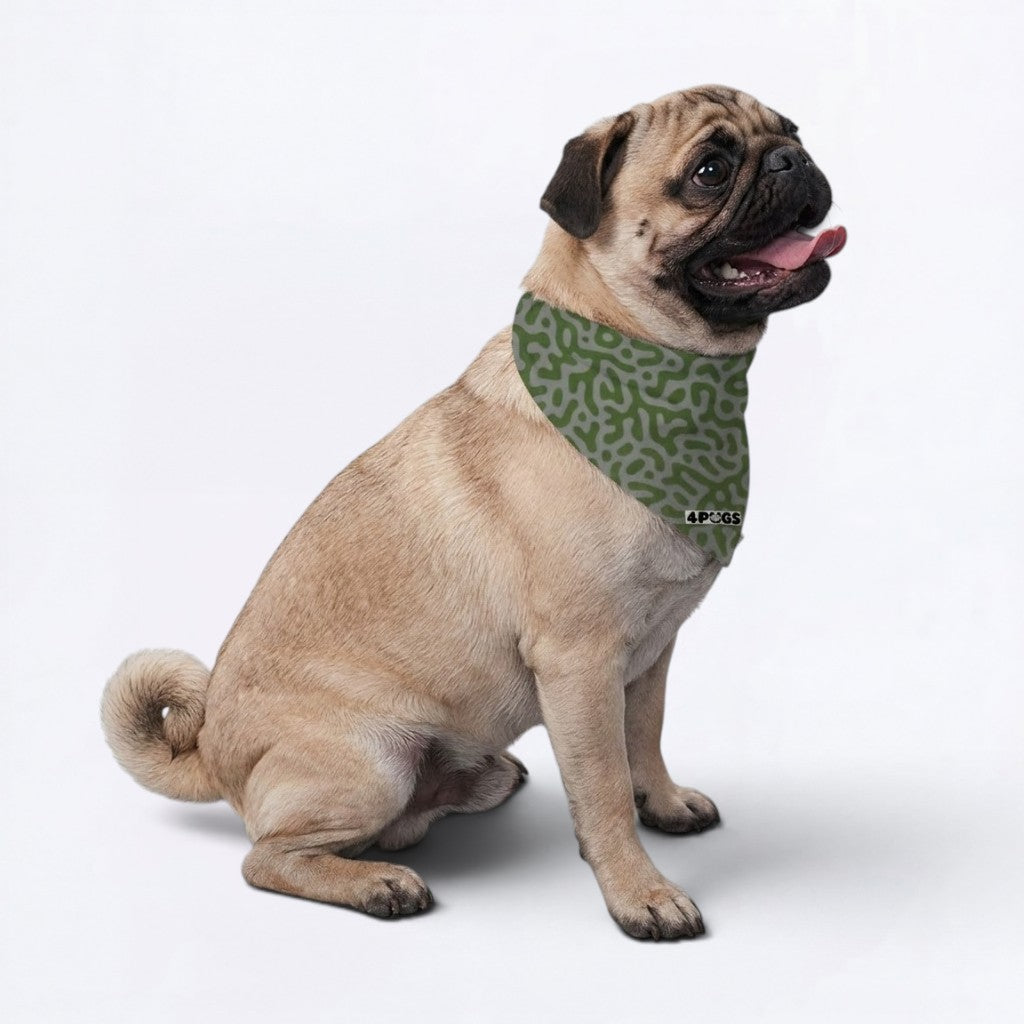 Loki - Pug Bandana