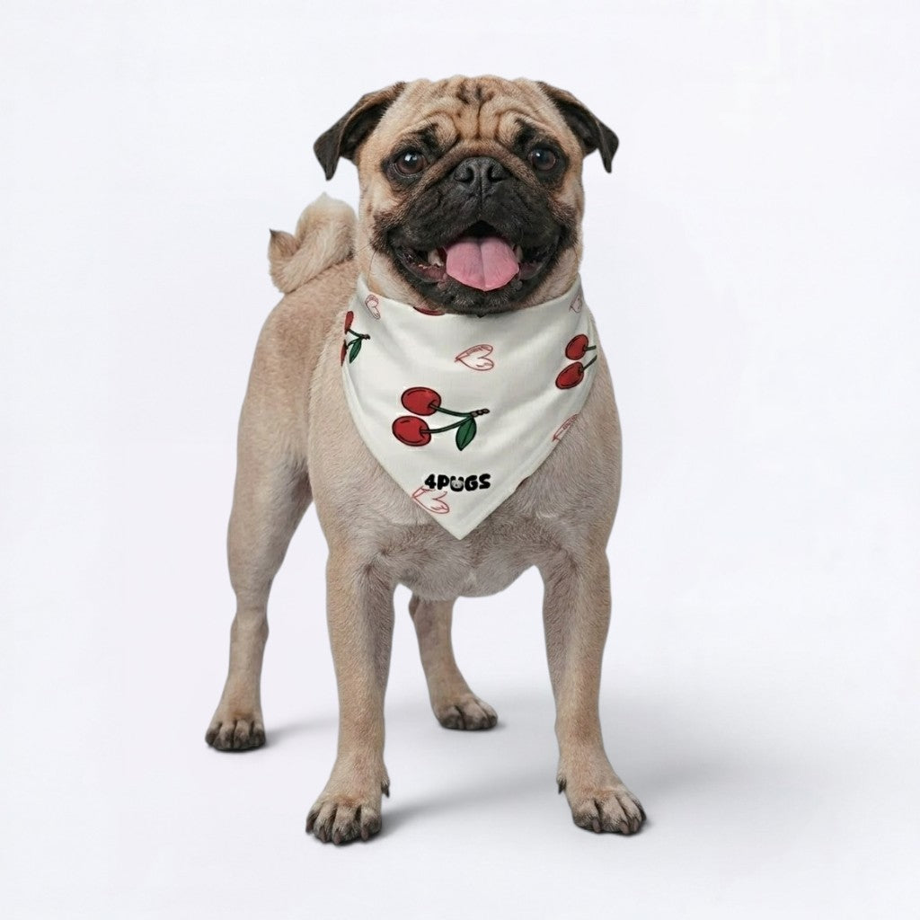Peach - Pug Bandana