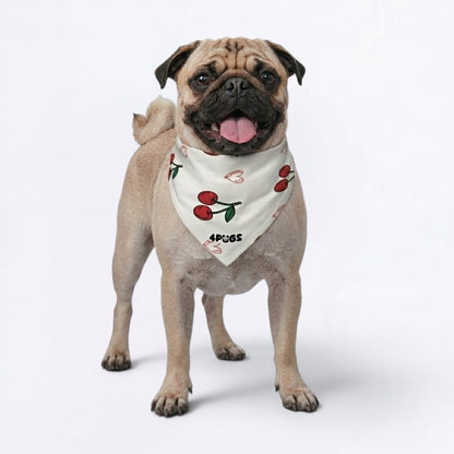Peach - Pug Bandana