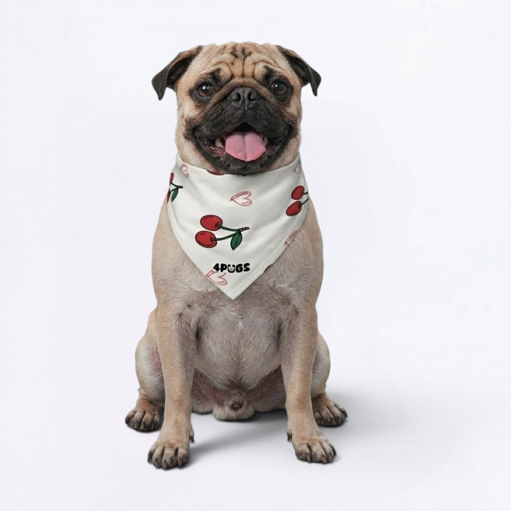 Peach - Pug Bandana