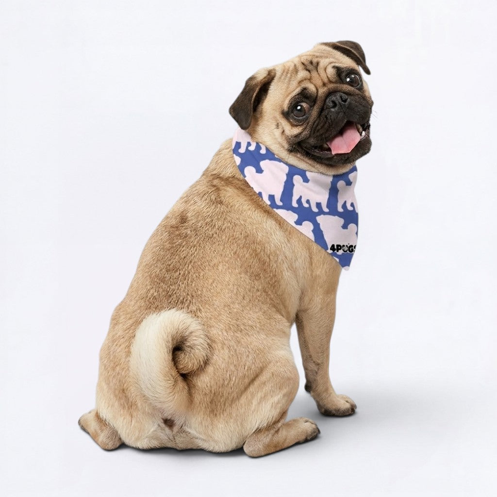 Coco - Pug Bandana