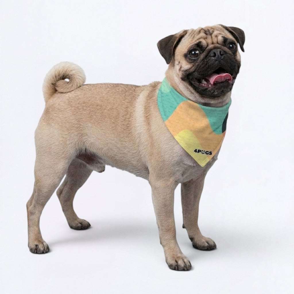 Duke - Pug Bandana