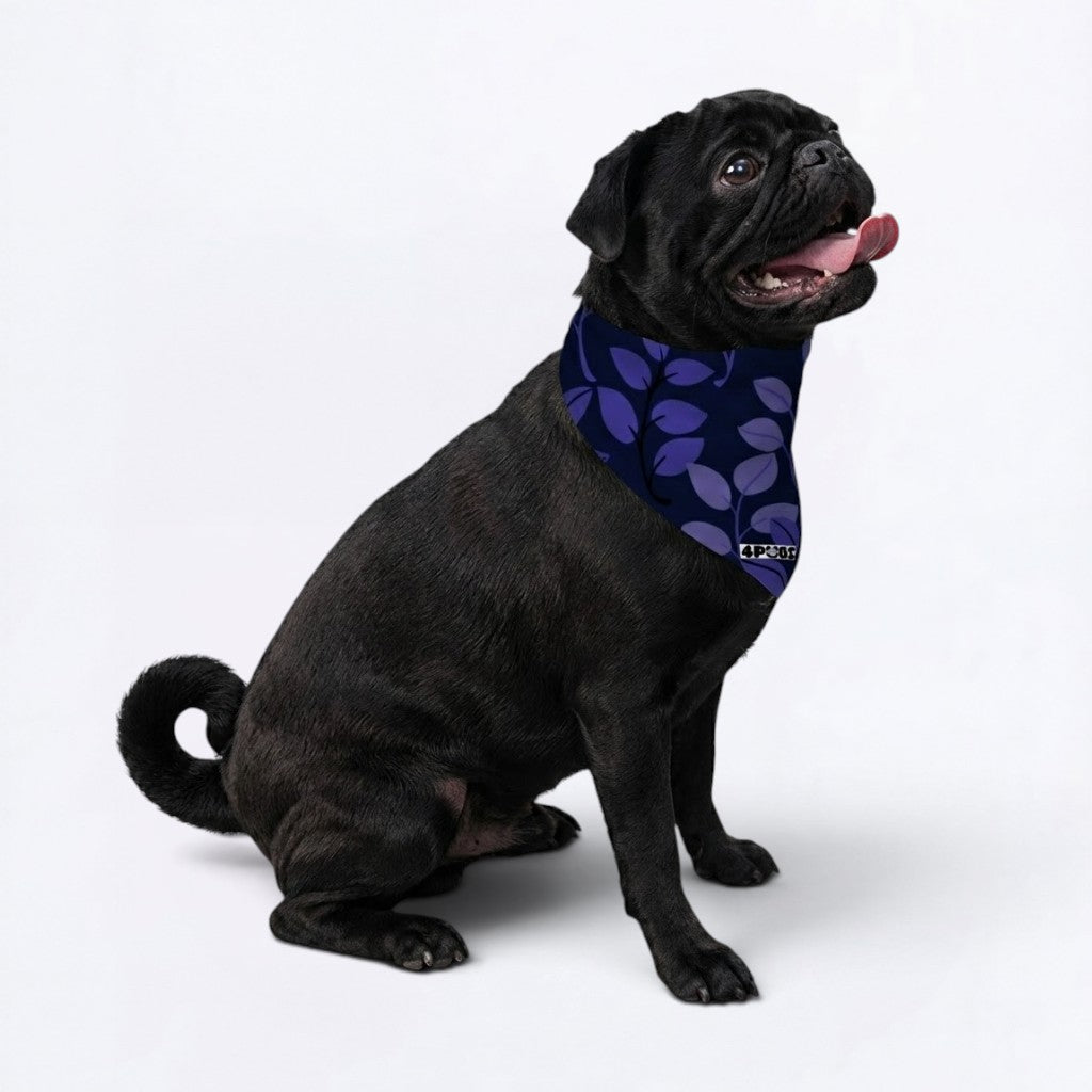 Vinnie - Pug Bandana