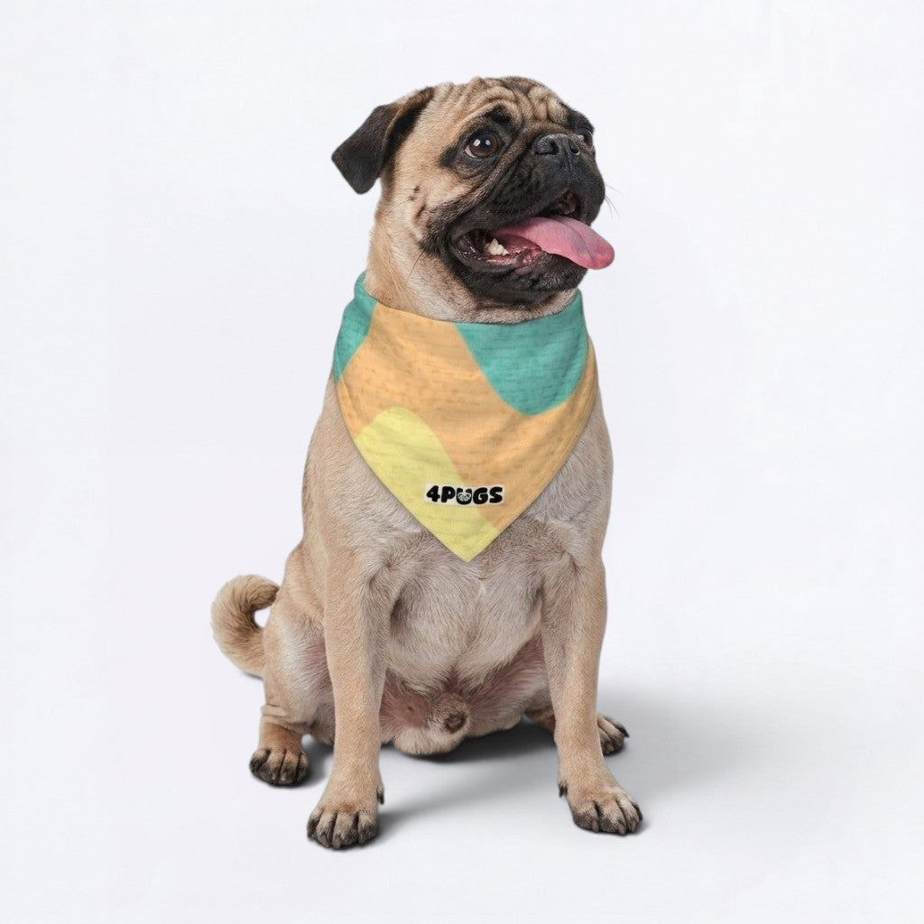 Duke - Pug Bandana