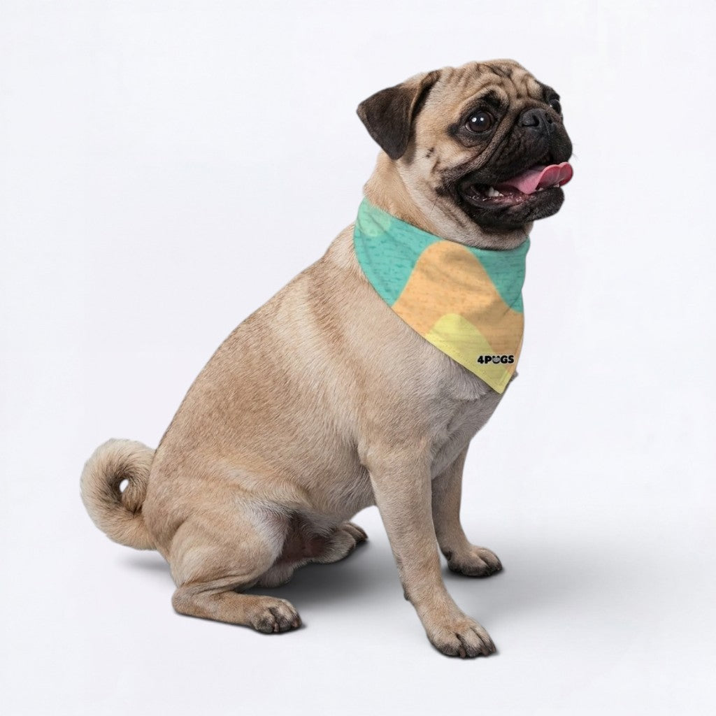 Duke - Pug Bandana