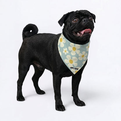 Fifi - Pug Bandana