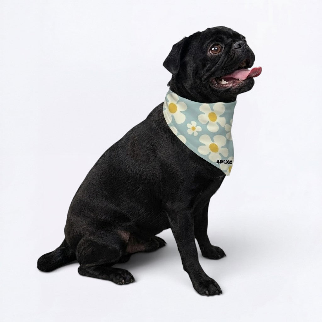 Fifi - Pug Bandana