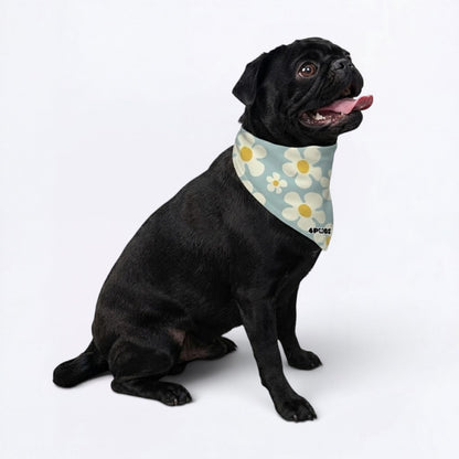 Fifi - Pug Bandana