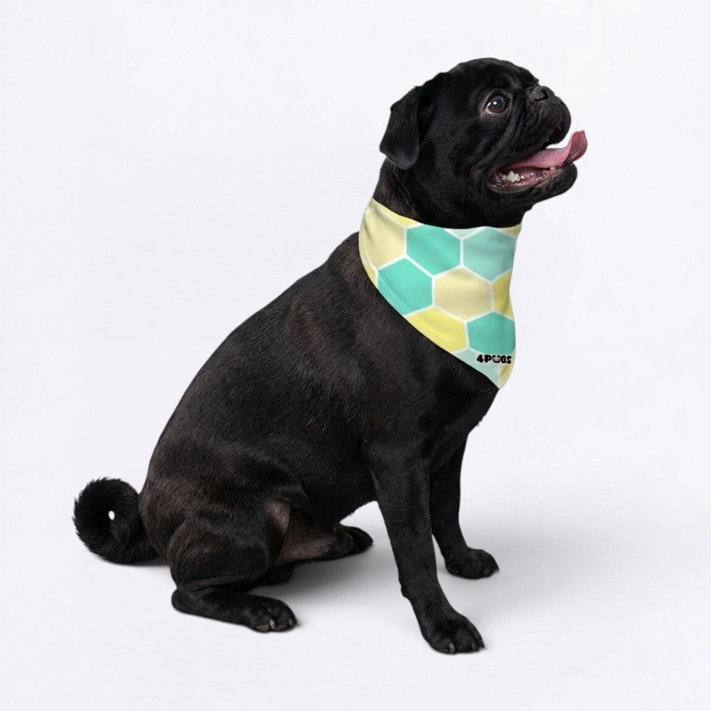 Mochi - Pug Bandan