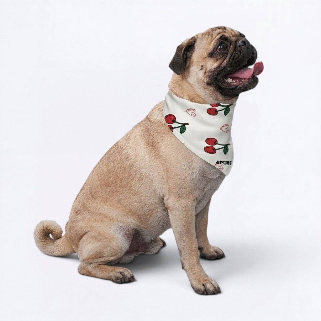 Peach - Pug Bandana