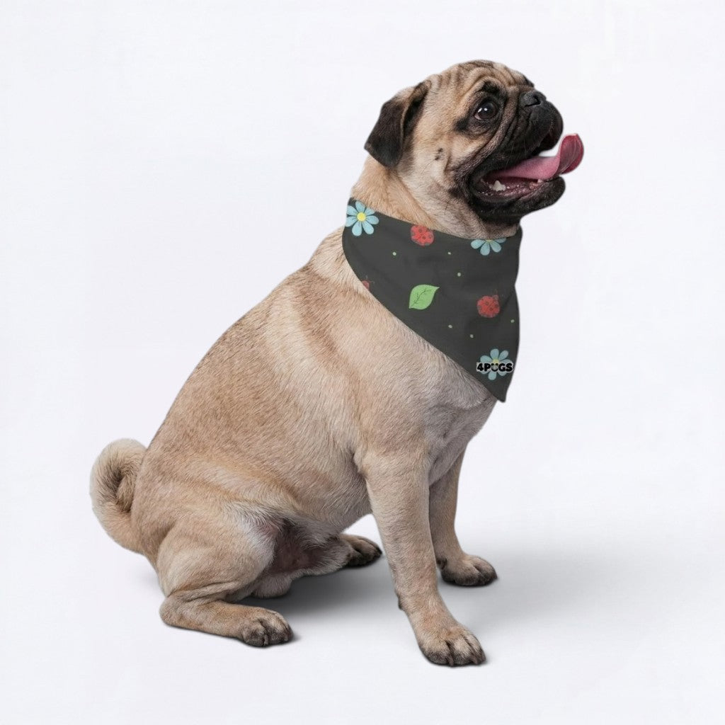 Juno - Pug Bandana