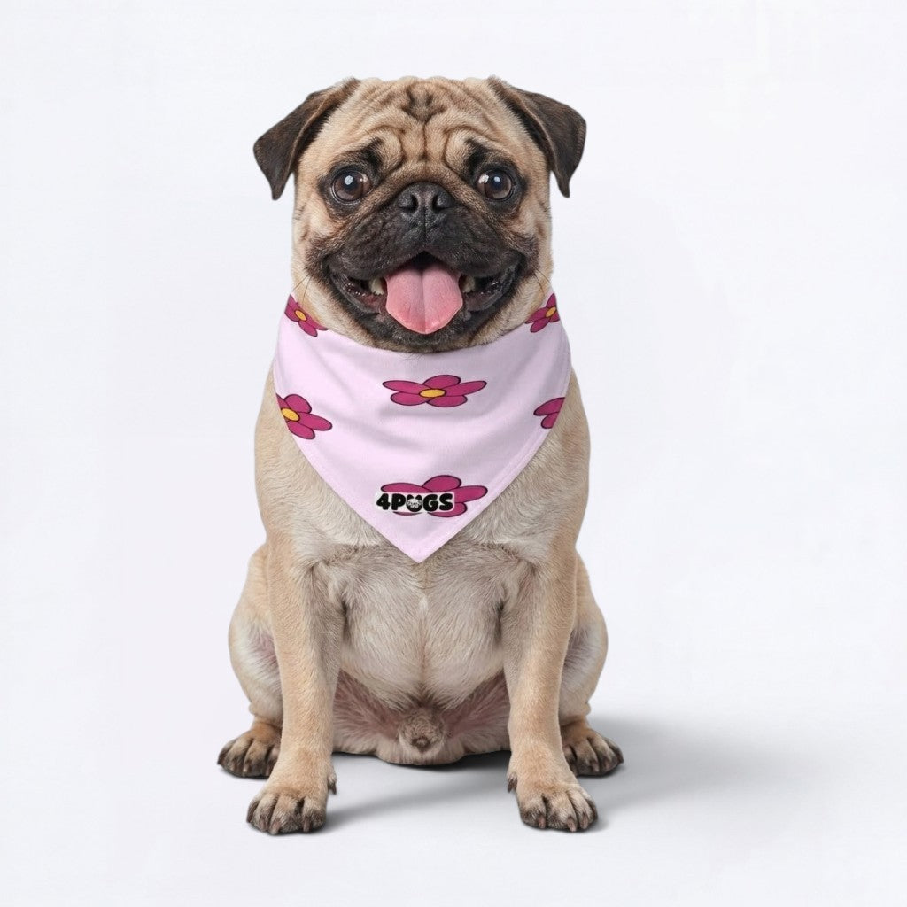 Maple - Pug Bandana