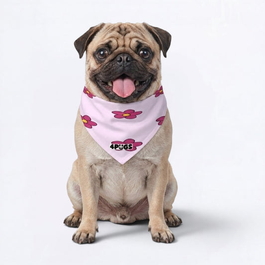 Maple - Pug Bandana