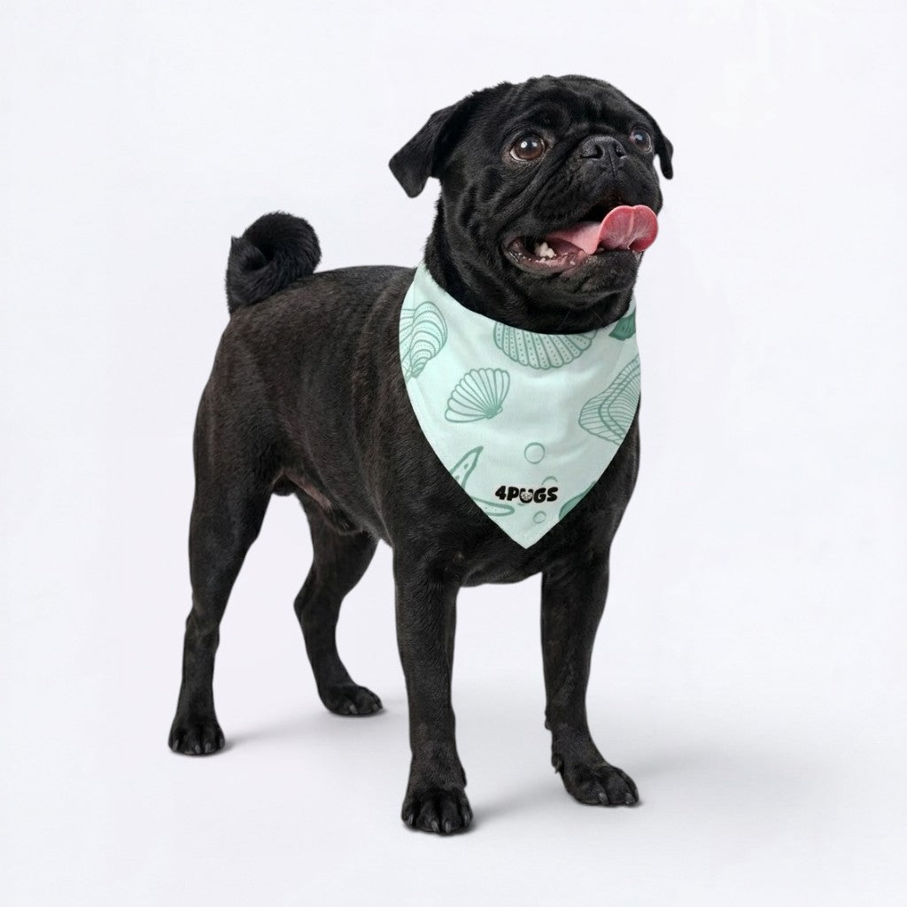 Poppy - Pug Bandana