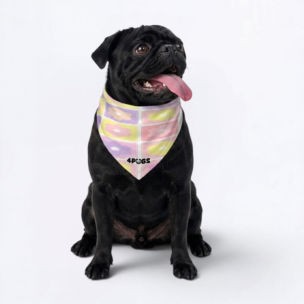 Onyx - Pug Bandana