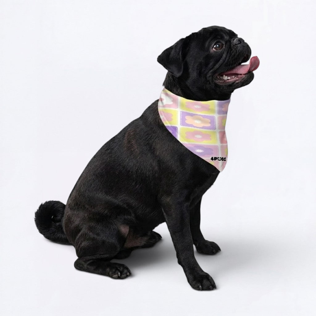 Onyx - Pug Bandana