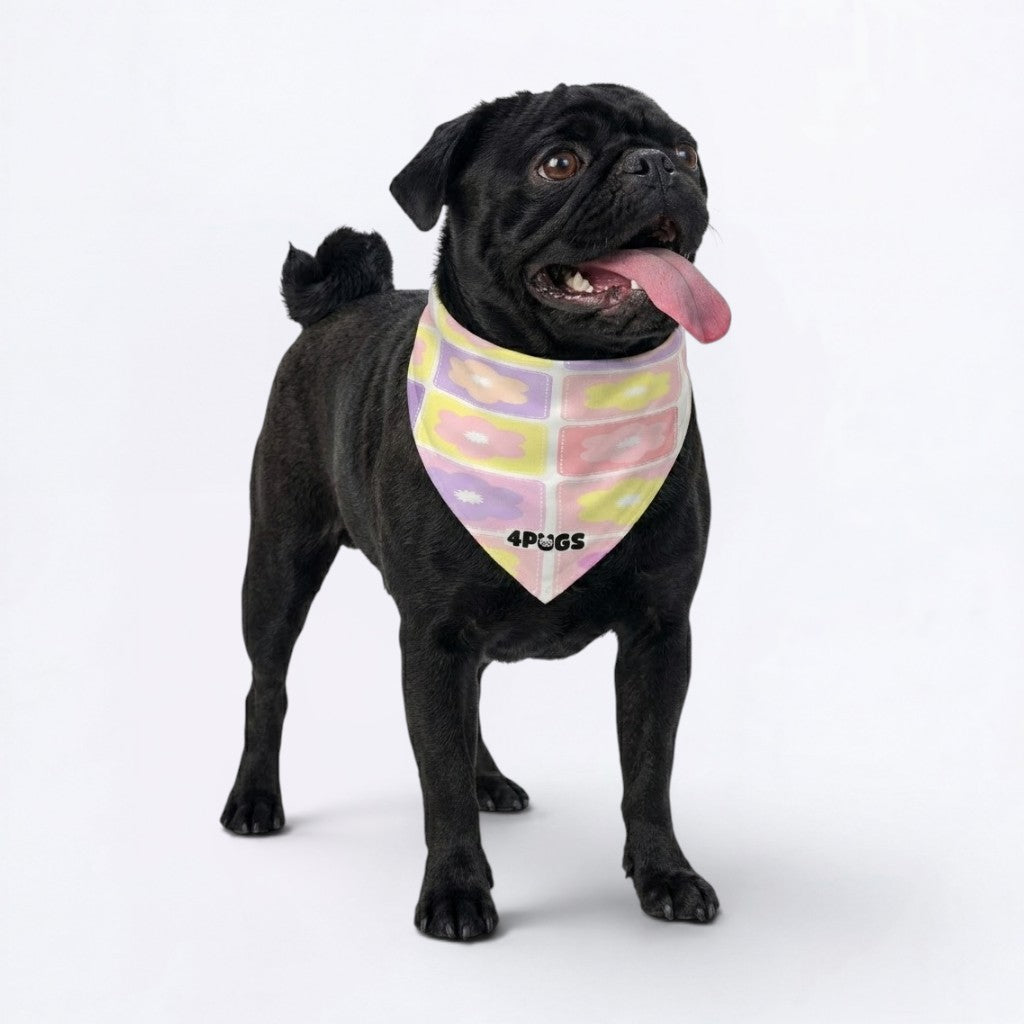 Onyx - Pug Bandana