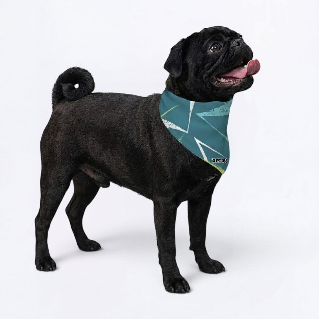 Bear - Pug Bandana