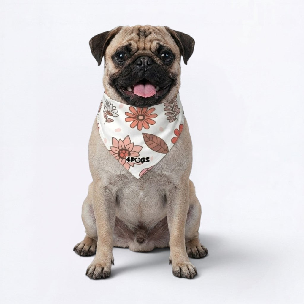 Missy - Pug Bandana