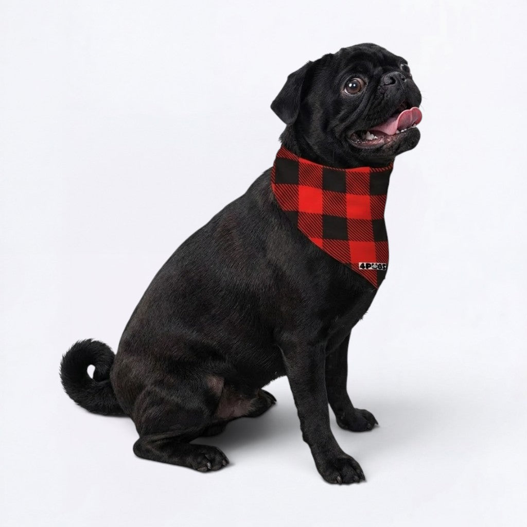 Millie - Pug Bandana