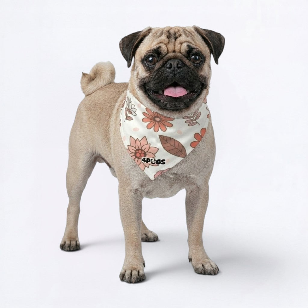 Missy - Pug Bandana