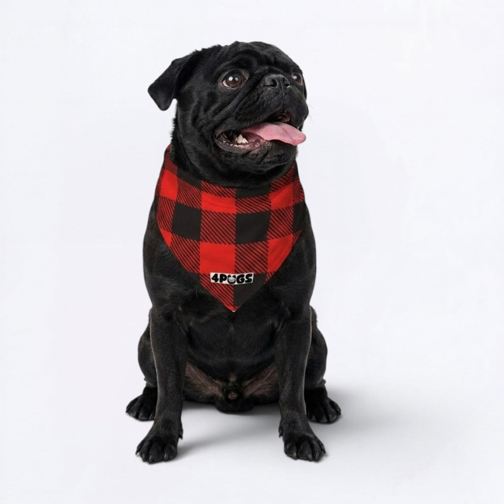 Millie - Pug Bandana