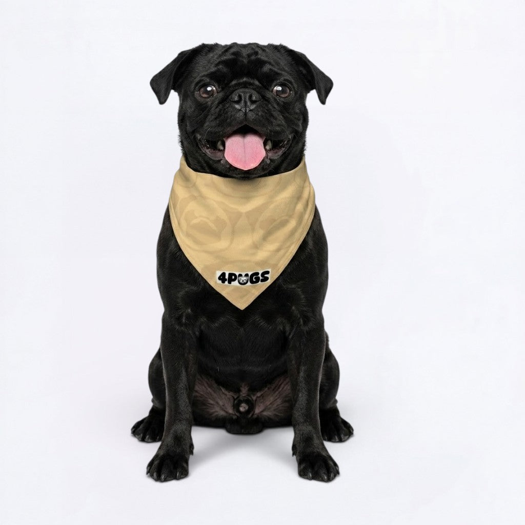 Cash - Pug Bandana