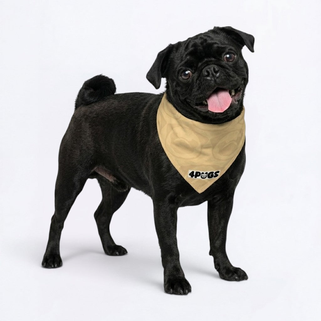 Cash - Pug Bandana