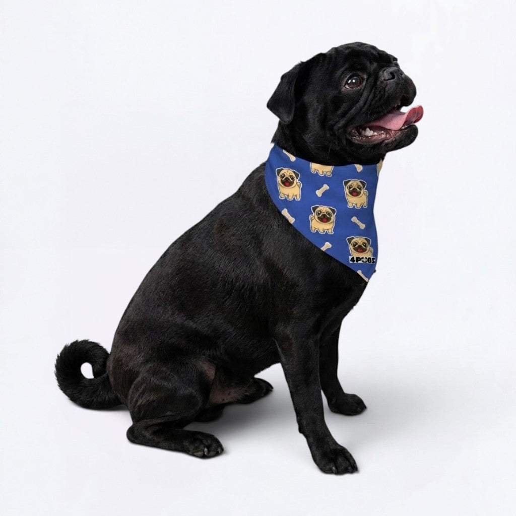 Rocco - Pug Bandan