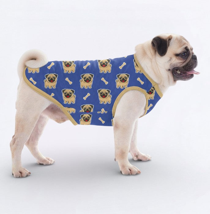 Koda – Pug Dog Shirt