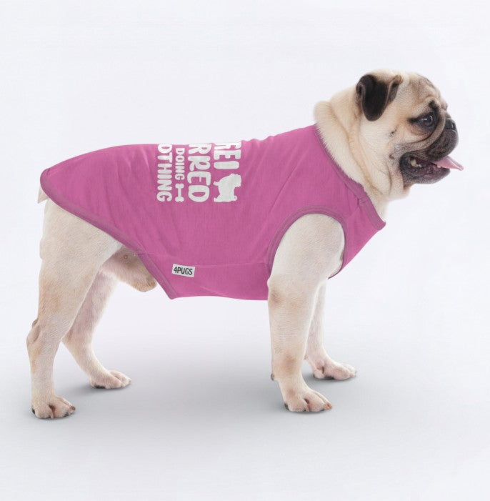 Bronx  – Pug Dog Shirt