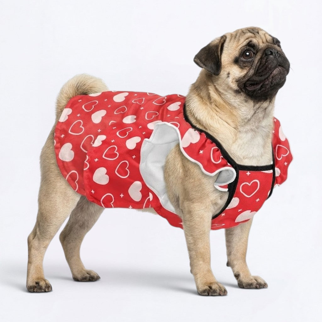 Pixie- pug summer fashion