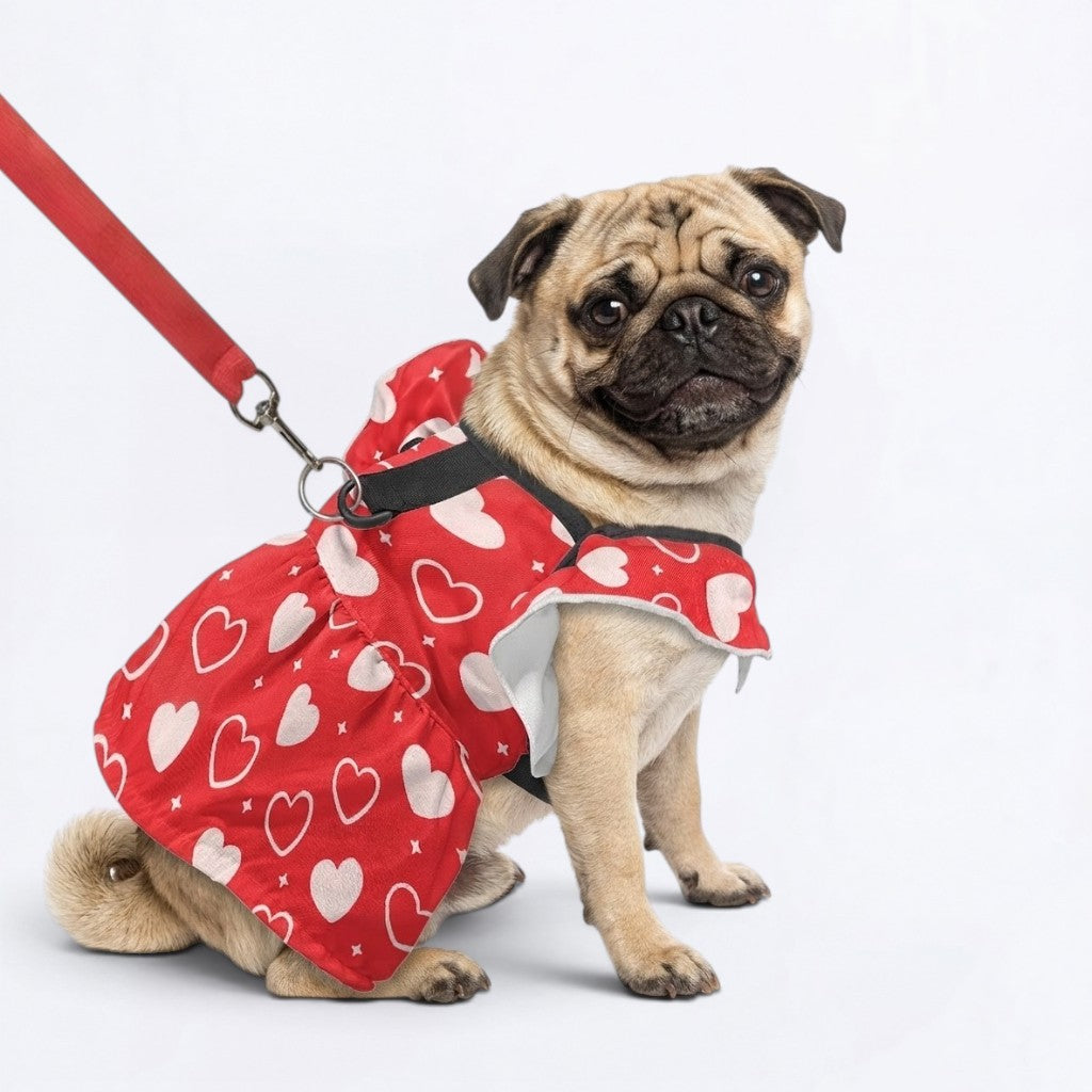 Pixie- pug summer fashion