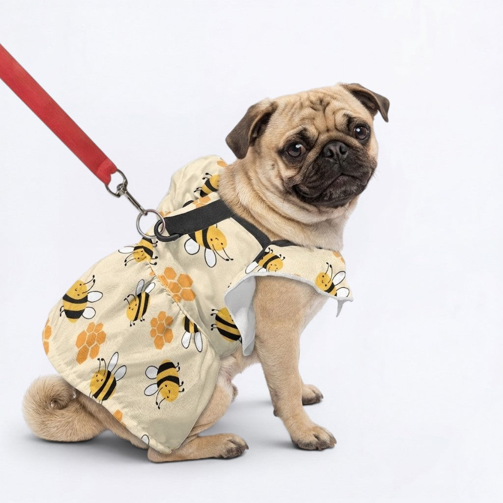 Nova - pug summer fashion