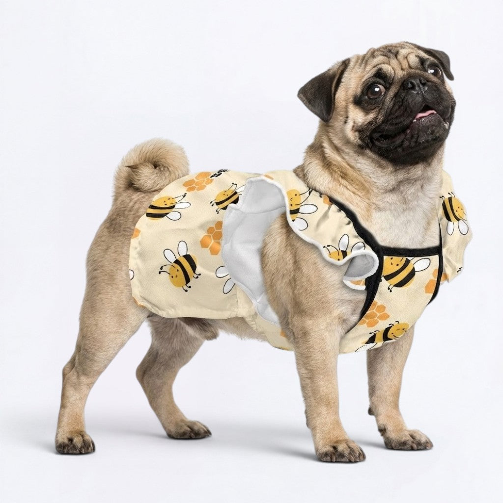 Nova - pug summer fashion